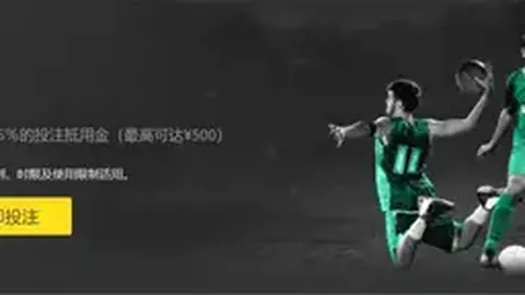 塞尔维亚迎战俄罗斯，德约助力；英德激战，四强争夺战激烈